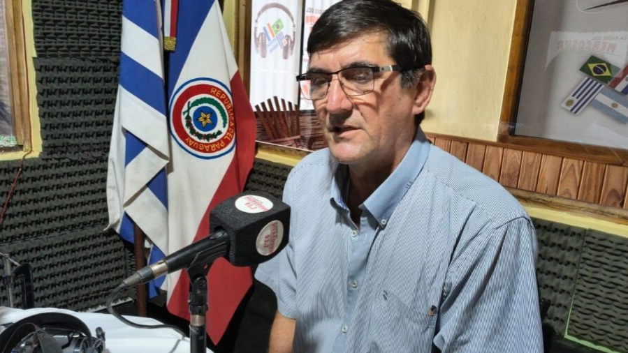 La falta de regulación golpea a la producción de la yerba mate 
